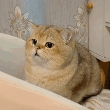 ���µ��ƶ�  