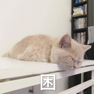 ������567  